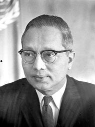 吴丹个人资料图片,魅力与才华并存的时尚界新星