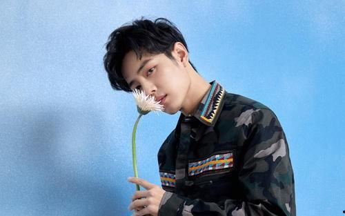 想要在娱乐圈,星光熠熠的璀璨舞台