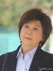 八卦神探的演员表,揭秘演员阵容，众星云集演绎悬疑传奇